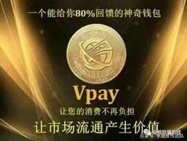 “VPAY虚拟货币”特大网络案 四名主要头目被公诉
