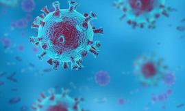 还得靠食补？金鱼、黑巧克力、牛奶酒……这6种食物或帮助预防新冠感染！