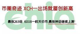 币圈奇迹XCH一出场就屡创新高，暴涨263倍 ，60118一枚天价币