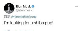 马斯克又带火虚拟货币“柴犬币Shib” 抢走狗狗币风头