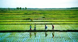 在上世纪90年代，我国农业、轻工业和重工业是如何保持协调发展的