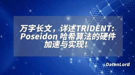 万字长文，详述TRIDENT: Poseidon 哈希算法的硬件加速与实现！