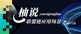 柚说联盟链应用｜柚子工道联盟链在社交货币应用的探讨