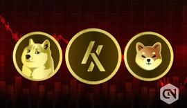 狗狗币（DOGE）和柴犬（SHIB）处于亏损状态时投资的顶级加密货币