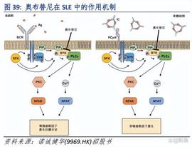 诺诚健华：小分子药物创新药企，拥有潜在同类最佳的BTK抑制剂