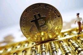 比特币合约交易新手不建议入行的原因