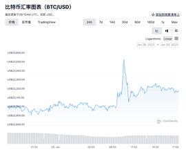 比特币新年猛涨40%，从业机构仍在“过冬”，加密货币“牛市”行得通吗？