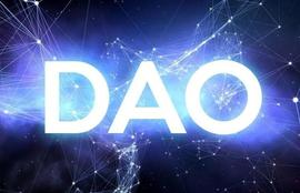 每日web3小知识——什么是DAO