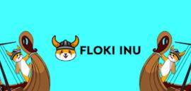 FLOKI 在币安榜单中击败 BTC 和 SHIB：解密 memecoin 的崛起