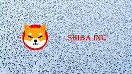 全球首个meme加密货币ShibLa联合交易所空投，疯狂吸粉破千万