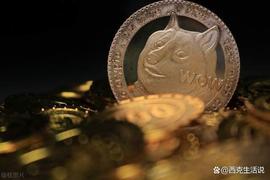 一级市场meme类型加密货币ShibL 打造meme公链主网成生态愿景