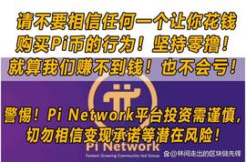 数字货币的价值：比较Bee Network和Pi Network