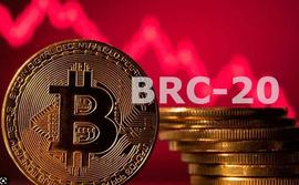 爆红Web3，上涨百倍的比特币新概念BRC20值得下重注吗？