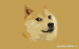什么是狗狗币（DOGE）？