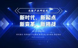 多肽创新药CDMO、原料药产业化项目可行性研究报告