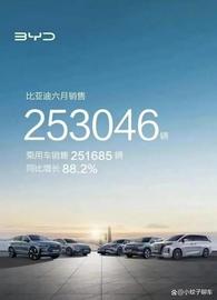 上半年成绩出炉！比亚迪交出125.56万辆答卷，坐稳冠军宝座