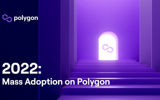 Polygon 生态2022：在主流世界里撕开一束光