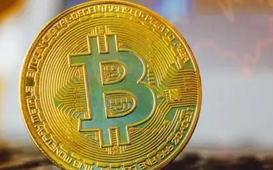 曾经被视为「牛市制造机」们的机构巨鲸 如今都怎么了？