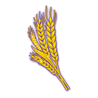 Wheat Token|WHEAT_WHEAT币价格_WHEAT最新价格_WHEAT交易所