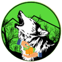Wolf Safe Poor People（BSC)|WSPP_WSPP币价格_WSPP最新价格_WSPP交易所