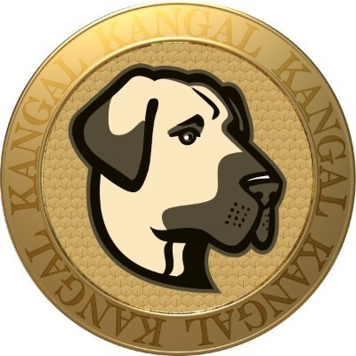 Kangal|KANGAL_KANGAL币价格_KANGAL最新价格_KANGAL交易所