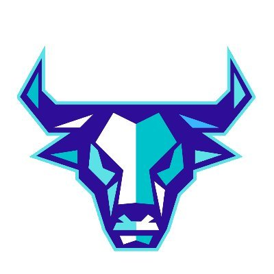 BullBankers|BANKERS_BANKERS币价格_BANKERS最新价格_BANKERS交易所