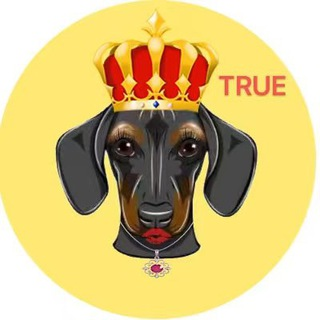 DogeQueen|DOGEQUEEN_DOGEQUEEN币价格_DOGEQUEEN最新价格_DOGEQUEEN交易所