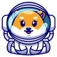 Baby Space Floki|BSF_BSF币价格_BSF最新价格_BSF交易所