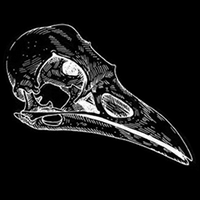 Raven dark|XRD_XRD币价格_XRD最新价格_XRD交易所