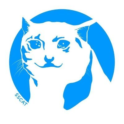 Sad Cat Token|SCAT_SCAT币价格_SCAT最新价格_SCAT交易所
