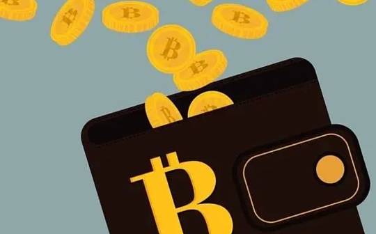 慢雾：Web3 假钱包第三方源调查分析