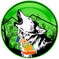 Wolf Safe Poor People|WSPP_WSPP价格_WSPP最新价格_WSPP交易所