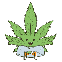 Kush Finance|KSEED_KSEED价格_KSEED最新价格_KSEED交易所