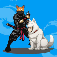 Shintama|SHINTAMA_SHINTAMA价格_SHINTAMA最新价格_SHINTAMA交易所