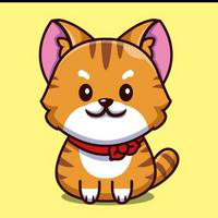 BabyKitty|BABYKITTY_BABYKITTY价格_BABYKITTY最新价格_BABYKITTY交易所