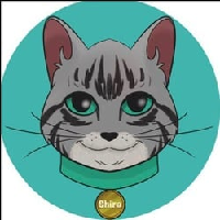 Shira Cat|CATSHIRA_CATSHIRA价格_CATSHIRA最新价格_CATSHIRA交易所