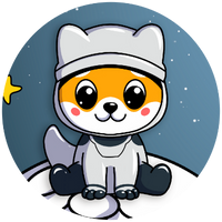 Baby Moon Floki|FLOKI_FLOKI价格_FLOKI最新价格_FLOKI交易所