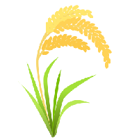Grain|GRAIN_GRAIN价格_GRAIN最新价格_GRAIN交易所