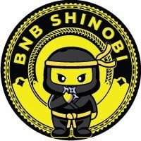 BNB Shinobi|CHAKRA_CHAKRA价格_CHAKRA最新价格_CHAKRA交易所