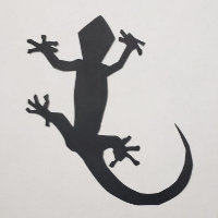 Lizard Token|LIZARD_LIZARD价格_LIZARD最新价格_LIZARD交易所
