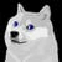 Blue Eyes White Doge|BDOGE_BDOGE价格_BDOGE最新价格_BDOGE交易所